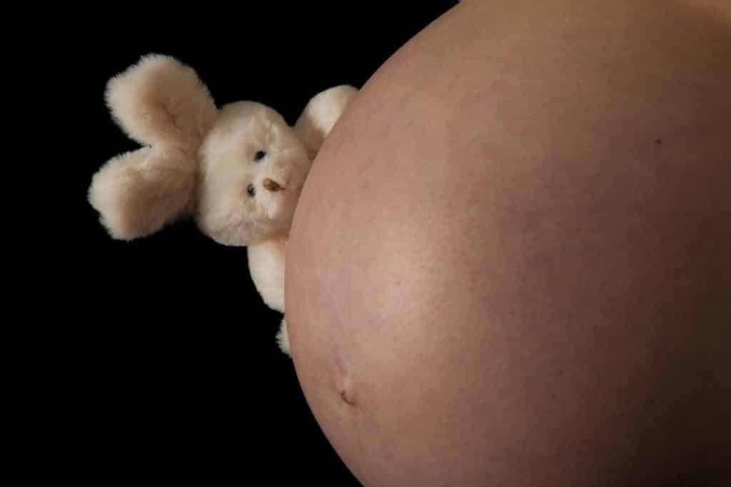 lapin sur ventre de grossesse