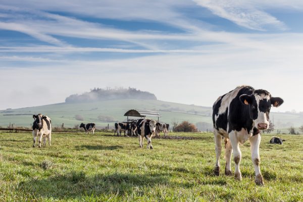 Photo de paysage (20) (Internet-HDTV (1080)px)